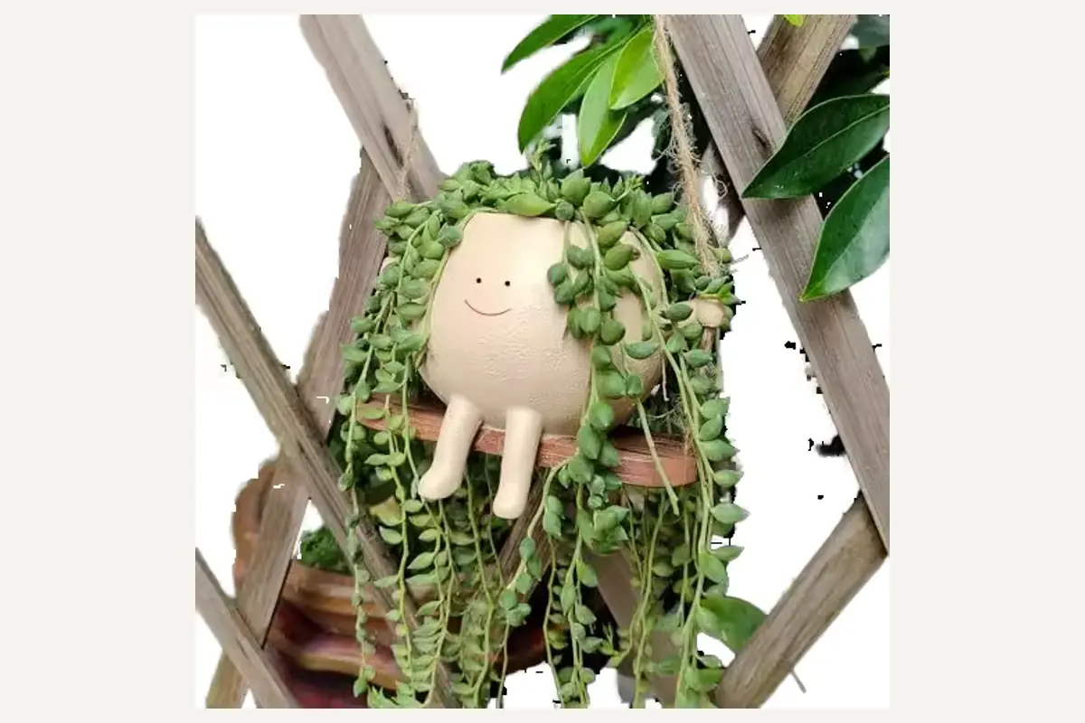 A small hanging character planter filled with trailing succulents