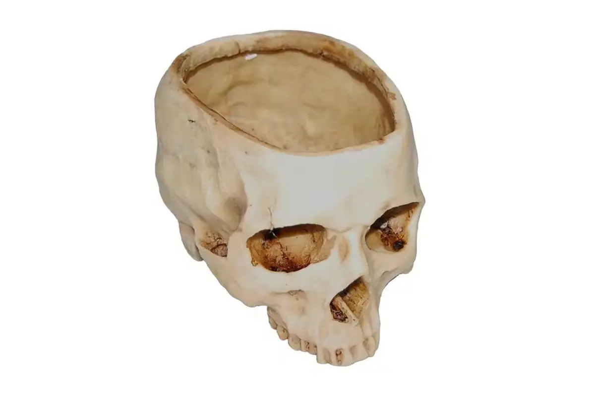 A skull-shaped planter with its empty planting cavity visible